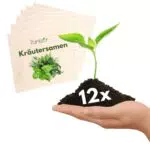 Panteer Kräutersamen - Kräutergarten & Küchenkräuter - Saatgut Kräuter und Gemüse - MADE IN GERMANY - Geschenke für Gartenfreunde