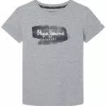 Pepe Jeans Jungen Seth Tee Jr T-Shirt, Grey, 14 Years