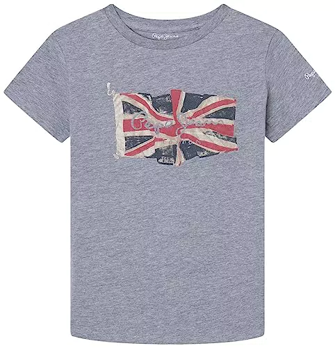 Pepe Jeans Jungen T-Shirts Flag Logo Jr S/S N, Grau