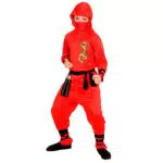 RED DRAGON NINJA -