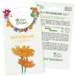 Blaue Kornblumen Samen: Premium Blaue Kornblume Samen für ca. 150x blühende Wilde Kornblumen Pflanze Schöne Garten Blumen Saatgut