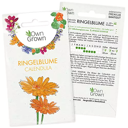 Blaue Kornblumen Samen: Premium Blaue Kornblume Samen für ca. 150x blühende Wilde Kornblumen Pflanze Schöne Garten Blumen Saatgut