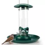 WILDLIFE FRIEND I Körner Futtersäule mit XL Futterteller