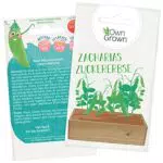 Zuckererbsen Samen für ca 10x Zuckerschoten Pflanze: Premium Zucker Erbsen Samen für Kinder und Erwachsene Gemüse Samen Zacharias Zuckererbse Gemüse Saatgut für Kids Samen Gemüse von OwnGrown