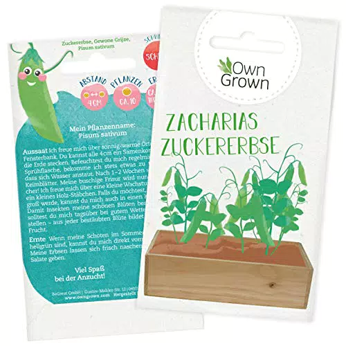 Zuckererbsen Samen für ca 10x Zuckerschoten Pflanze: Premium Zucker Erbsen Samen für Kinder und Erwachsene Gemüse Samen Zacharias Zuckererbse Gemüse Saatgut für Kids Samen Gemüse von OwnGrown