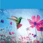 Adobe Photoshop Elements 2024 für Mac - Aktivierungscode per E-Mail