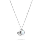 Apple of Eden Halskette AJ-0059-N-45 Silber