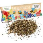 Wilde Weide: 100g Premium Wildblumensamen Mischung mehrjährig und einjährig - Insektenfreundliche Blumenwiese Samen für Bienen - Blumensamen für eine bunte Bienenwiese - Wildblumen Samen von OwnGrown