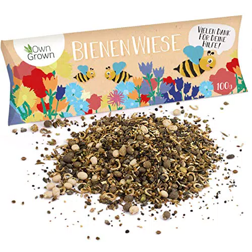 Wilde Weide: 100g Premium Wildblumensamen Mischung mehrjährig und einjährig - Insektenfreundliche Blumenwiese Samen für Bienen - Blumensamen für eine bunte Bienenwiese - Wildblumen Samen von OwnGrown