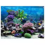 Aquarium-Hintergrund Selbstklebendes Unterwasserkorallenriff Papier