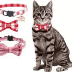 Filhome Katzenhalsband mit Glöckchen und Fliege, Verstellbar für Kätzchen und Welpen.