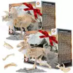 Genround Toy Dino Ausgrabungsset, Ausgrabungsset T-Rex & Triceratops