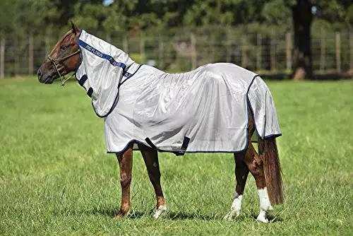 Horseware Amigo Mio Fly Rug 6-9" Bronze/Navy