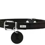 HUNTER AALBORG Hundehalsband, Leder, schlicht, robust