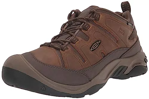KEEN Herren Circadia Waterproof Wanderschuh, Shitake/Brindle