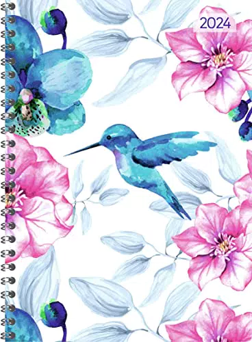 Ladytimer Ringbuch Hummingbird 2024 - Taschen-Kalender A5 - Schüler-Kalender - Weekly - Ringbindung - 128 Seiten - Alpha Edition