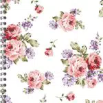 Ladytimer Ringbuch Roses 2024 - Taschen-Kalender A5 - Schüler-Kalender - Weekly - Ringbindung - 128 Seiten - Alpha Edition