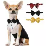 Lelepet Hund Smoking Anzug, Formell Bandana Set, Hunde Outfits Shirt für Kleine