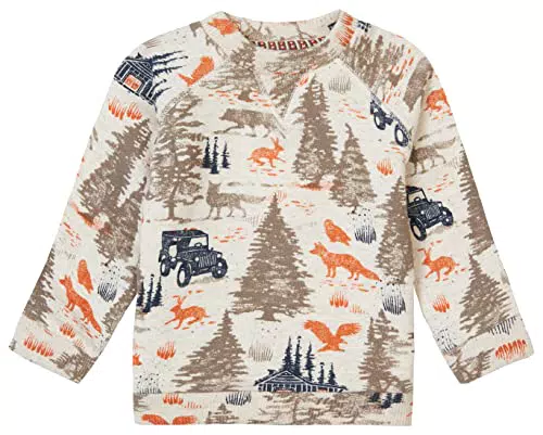 Noppies Pullover Jhansi - Farbe: Oatmeal - Größe: 62