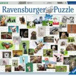 Ravensburger Puzzle 16711 - Funny Animals Collage - 1500 Teile Puzzle für Erwachsene und Kinder ab 14 Jahren