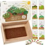 Saatgut Anzuchtset mit Holzkiste und 8 Sorten Pflanzen Samen: Kinder Anzuchtset Pflanzen mit Gemüse Samen