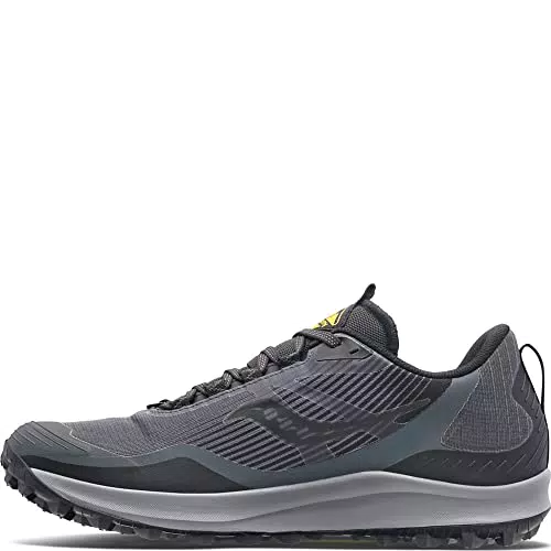 Saucony Herren Peregrine 12 GTX Walking-Schuh, Shadow/Vizi