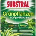 Substral Dünger-Stäbchen für Grünpflanzen mit Eisen-Plus und 2 Monate Langzeitwirkung