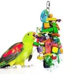 SunGrow Vogel-Kauspielzeug für das Wohlbefinden Ihrer Papageien - Schnabelpflege und Federhygiene in einem!