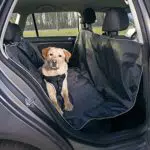 Trixie 13472 Auto-Schondecke, 1, 45 × 1, 60 m, schwarz