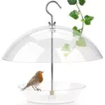 WILDLIFE FRIEND I Vogelfutterspender zum Aufhängen Transparente Vogelfutterglocke