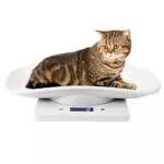Digitale Haustierwaage mit rutschfesten Pads - Ideal für kleine Tiere