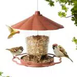 Vogelhaus zum Aufhängen für Wildvögel - Wetterfest und Stilvoll
