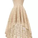 Dressystar Damen Elegant Spitzenkleider Vokuhila Schulterfrei Ballkleid Abendkleid Hochzeit Cocktailkleider Blush L
