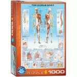 Eurographics Puzzle - Menschlicher Körper, 48x68cm