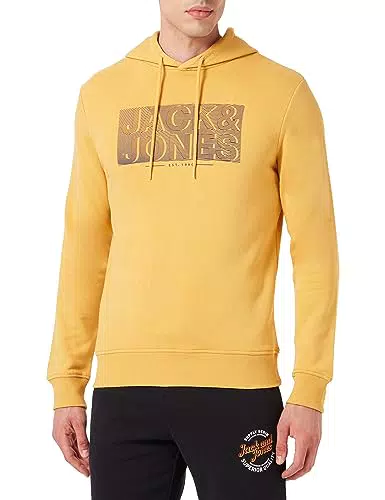 JACK&JONES JJPETER Sweat Hood