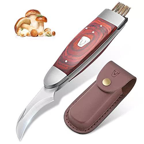 Pilzmesser mit Bürste - Klappbares Schwammerlmesser für Pilzsammler
