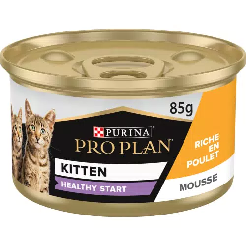 Mousse Poulet für Kinder - 24 Stück