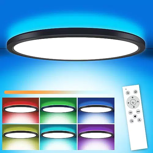 LED Deckenleuchte Dimmbar mit Fernbedienung für Schlafzimmer und Wohnzimmer