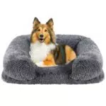 Hundebett für mittelgroße Hunde mit abnehmbarem waschbarem Bezug - Flauschiges Hundesofa für Dackel