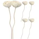Raumduft Blumen Diffuser Sticks für Zuhause und Büro - Frischer Duft für Wellness und Entspannung