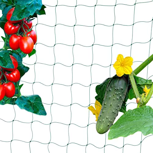 Ranknetz für Gewächshaus - Rankhilfe für Gurken und Tomaten - Maschenweite 10 cm - Grün