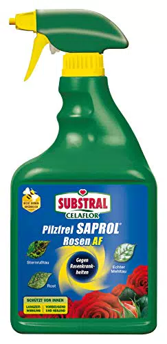 Substral Celaflor Rosen AF Pilzfrei Spray - 750 ml