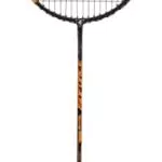 Badmintonschläger Talbot Torro Isoforce 951