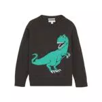 TOM TAILOR Jungen Kinder Strickpullover mit Dinosaurier