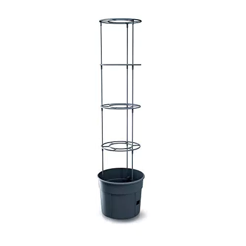Prosperplast Tomaten-Macetero Züchter aus Kunststoff - Anthrazit - 29,5 x 29,5 x 115,2 cm