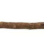 Trixie Naturholz Sitzstange Y-Form 35 cm - Ø 18 mm