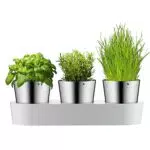 WMF Gourmet Kräutertopf mit Bewässerungssystem - Kräutergarten für die Küche