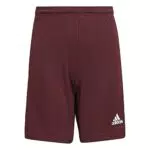 adidas Unisex Kinder Squad 21 Shorts, Black/White, 152 EU