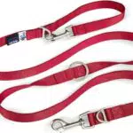 Nylon Hundeleine - Verstellbar - Rot