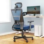 Ergonomischer Bürostuhl von Dripex: Chefsessel mit breitem Schaumstoffkissen, höhenverstellbar & neigbar